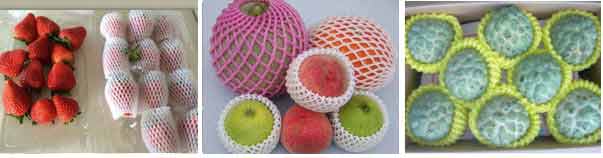 EPE Foam Net /PE foaming net