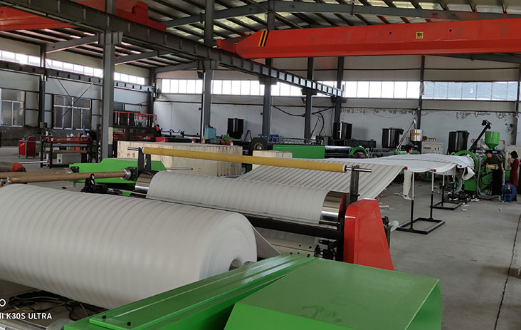 Model 220 EPE foam extrusion machine Model 220 EPE foam extrusion machine